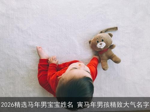 2026精选马年男宝宝姓名 寅马年男孩精致大气名字