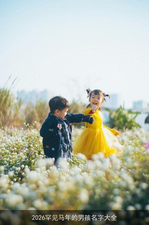 2026罕见马年的男孩名字大全
