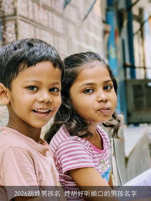 2026胡姓男孩名 姓胡好听顺口的男孩名字