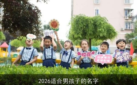 2026适合男孩子的名字
