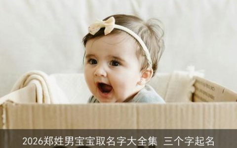 2026郑姓男宝宝取名字大全集 三个字起名