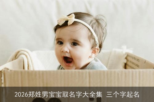 2026郑姓男宝宝取名字大全集 三个字起名