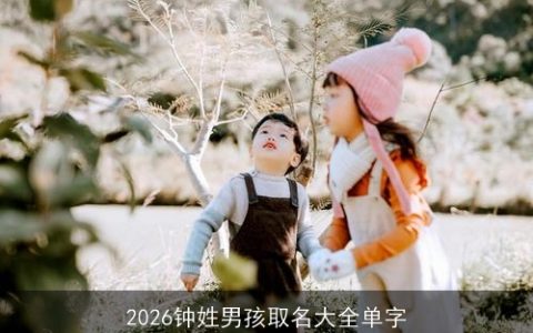 2026钟姓男孩取名大全单字