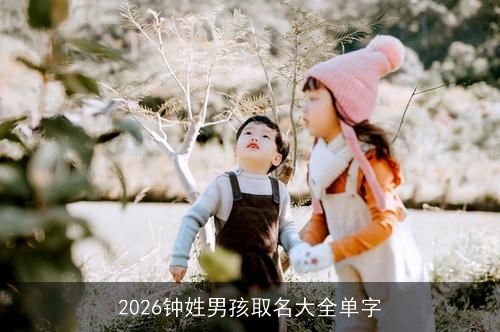 2026钟姓男孩取名大全单字