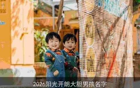 2026阳光开朗大胆男孩名字