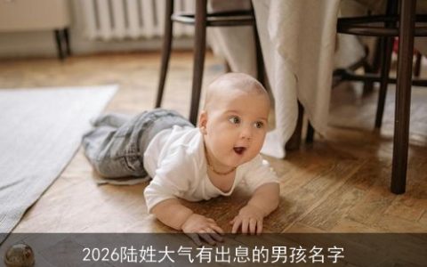 2026陆姓大气有出息的男孩名字