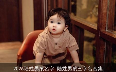 2026陆姓男孩名字 陆姓男孩三字名合集