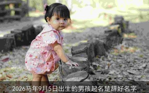 2026马年9月5日出生的男孩起名楚辞好名字