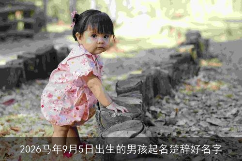 2026马年9月5日出生的男孩起名楚辞好名字