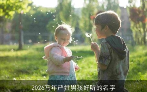 2026马年严姓男孩好听的名字