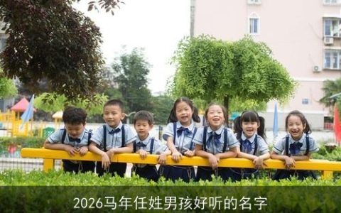 2026马年任姓男孩好听的名字