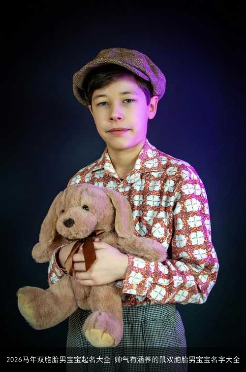 2026马年双胞胎男宝宝起名大全 帅气有涵养的鼠双胞胎男宝宝名字大全