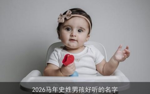 2026马年史姓男孩好听的名字