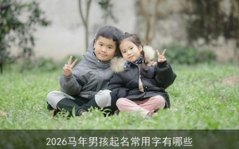 2026马年男孩起名常用字有哪些