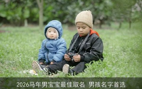 2026马年男宝宝最佳取名 男孩名字首选