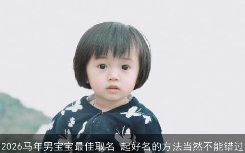 2026马年男宝宝最佳取名 起好名的方法当然不能错过