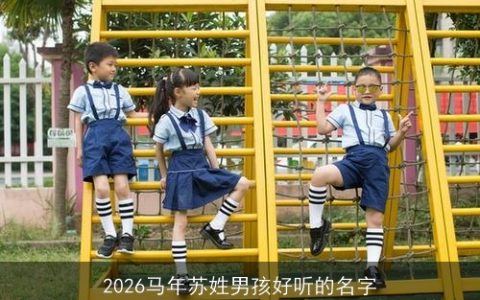 2026马年苏姓男孩好听的名字