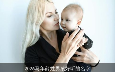 2026马年薛姓男孩好听的名字