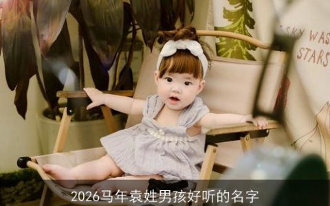 2026马年袁姓男孩好听的名字