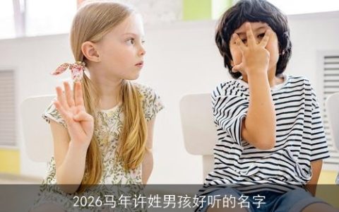2026马年许姓男孩好听的名字
