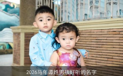 2026马年谭姓男孩好听的名字