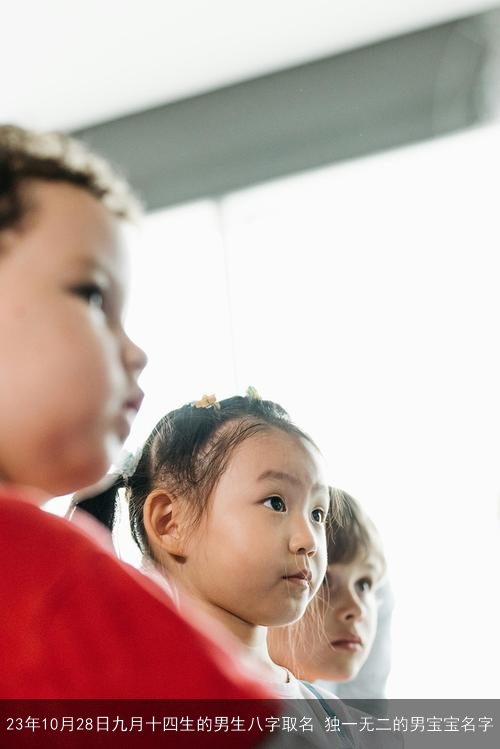 23年10月28日九月十四生的男生八字取名 独一无二的男宝宝名字