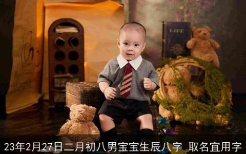 23年2月27日二月初八男宝宝生辰八字 取名宜用字