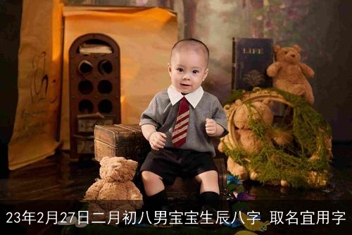 23年2月27日二月初八男宝宝生辰八字 取名宜用字