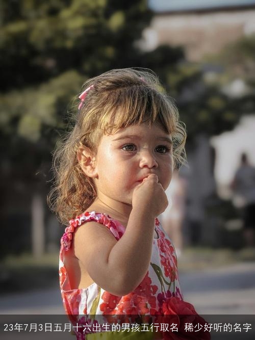 23年7月3日五月十六出生的男孩五行取名 稀少好听的名字