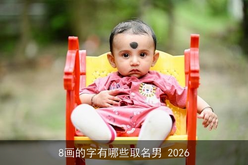 8画的字有哪些取名男 2026