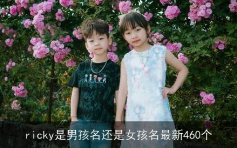 ricky是男孩名还是女孩名最新460个