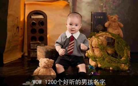 WOW 1200个好听的男孩名字