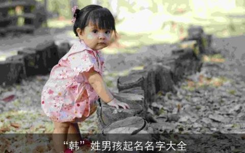 “韩”姓男孩起名名字大全