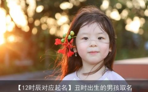 【12时辰对应起名】丑时出生的男孩取名