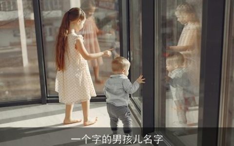 一个字的男孩儿名字