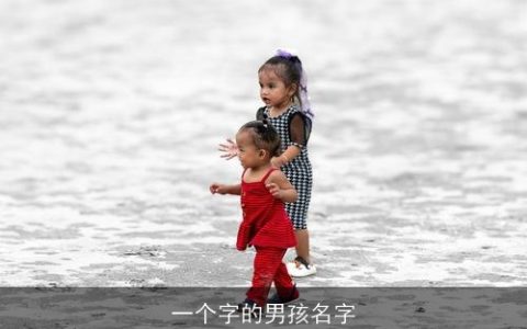 一个字的男孩名字
