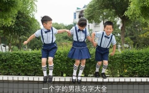 一个字的男孩名字大全