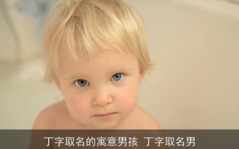 丁字取名的寓意男孩 丁字取名男