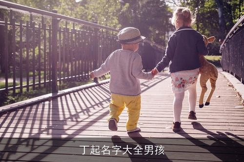 丁起名字大全男孩