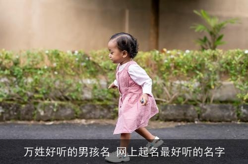 万姓好听的男孩名 网上起名最好听的名字