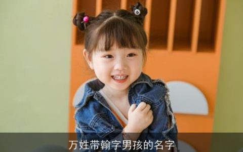 万姓带翰字男孩的名字