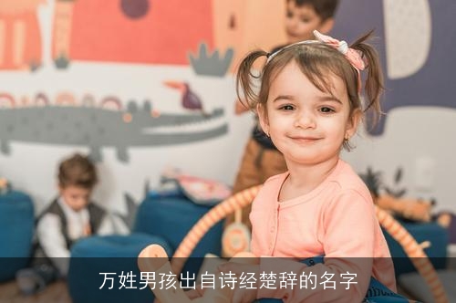 万姓男孩出自诗经楚辞的名字