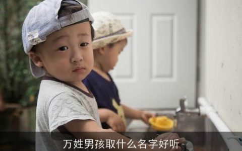 万姓男孩取什么名字好听