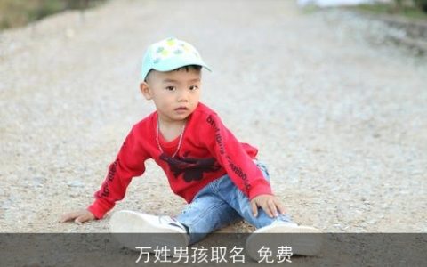 万姓男孩取名 免费