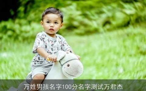 万姓男孩名字100分名字测试万君杰