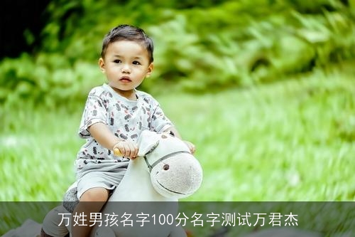 万姓男孩名字100分名字测试万君杰