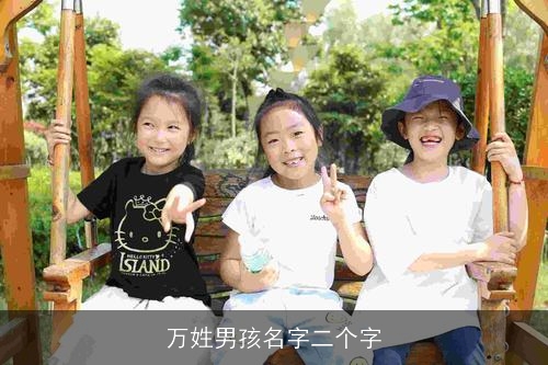 万姓男孩名字二个字
