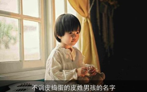 不调皮捣蛋的皮姓男孩的名字