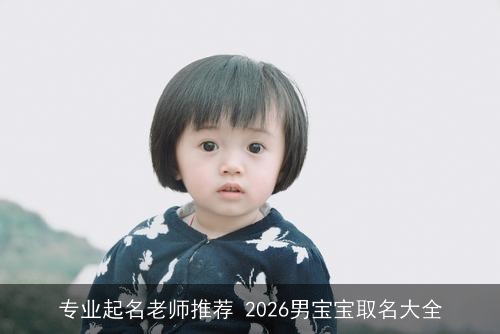 专业起名老师推荐 2026男宝宝取名大全