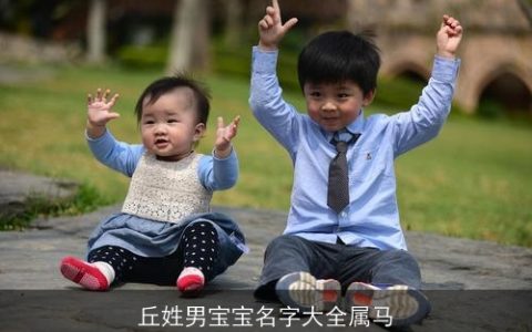 丘姓男宝宝名字大全属马